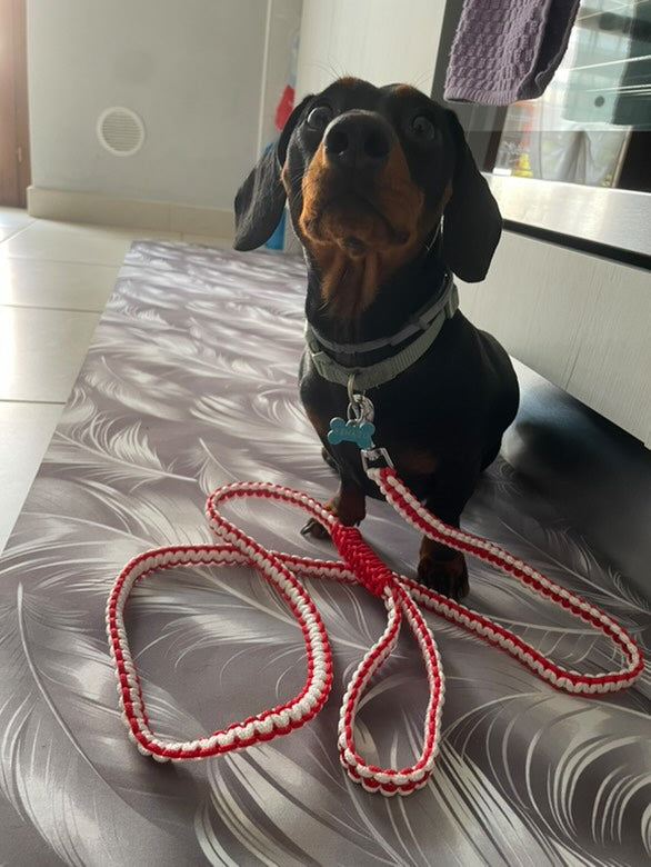 GUINZAGLIO PARACORD ANTHEIA
