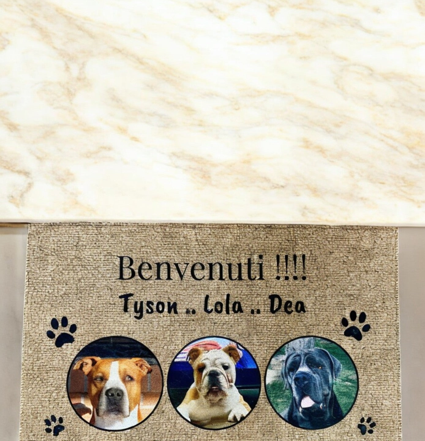 ZERBINO BENVENUTI A CASA CON FOTO
