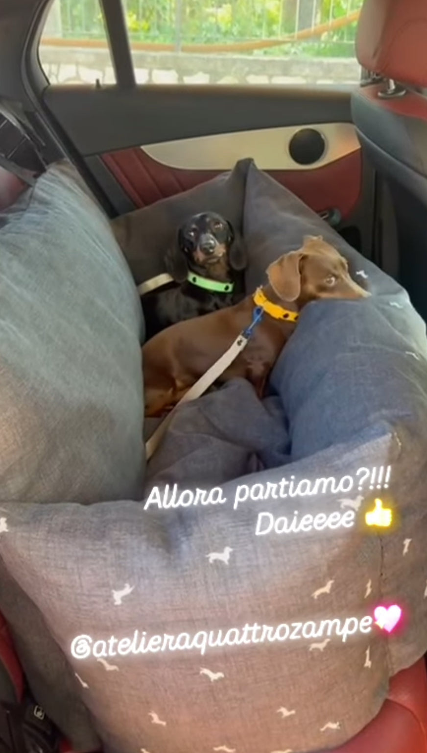 SEGGIOLINO AUTO SAVITAR SEDILE POSTERIORE