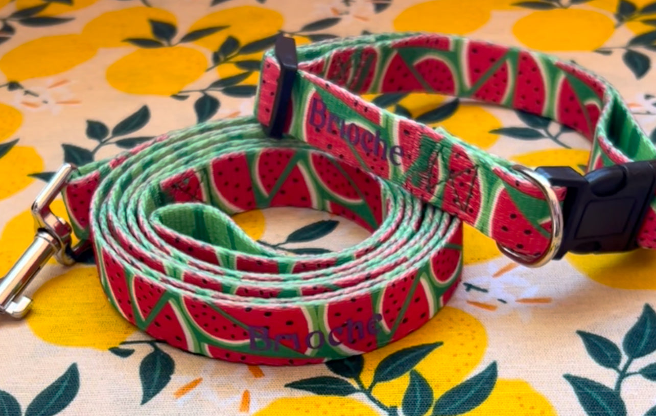COLLARE NYLON MELON