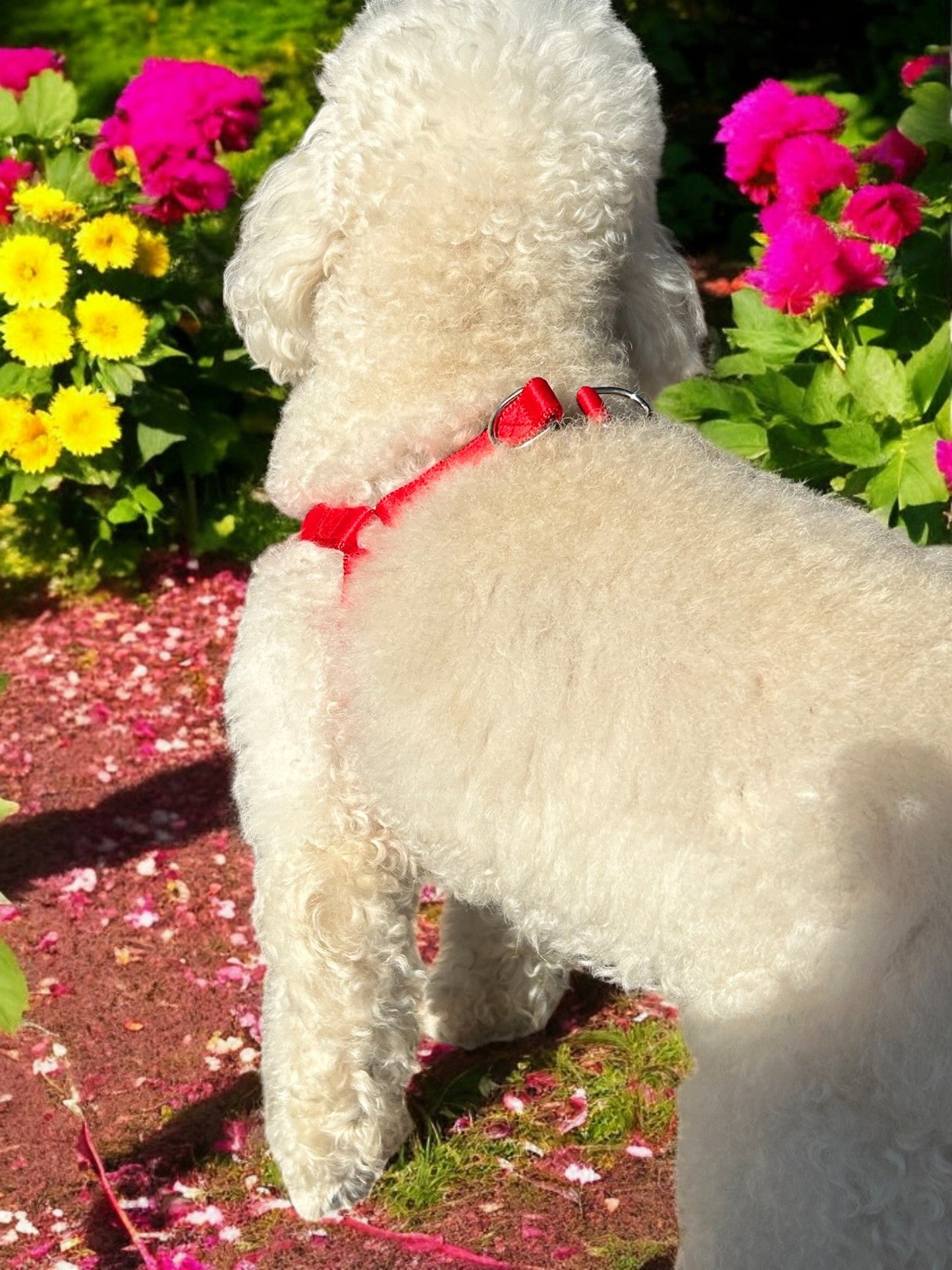 PETTORINA IN NYLON ECO
