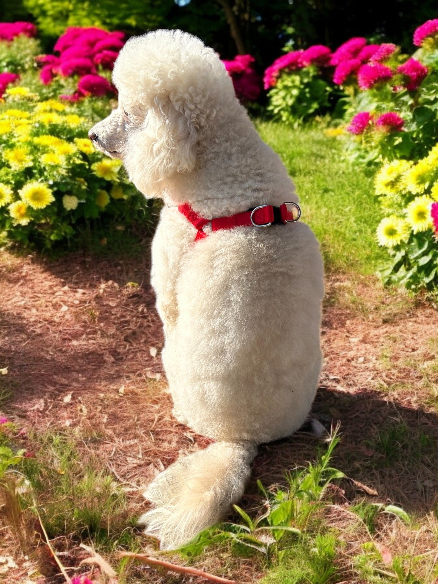 PETTORINA IN NYLON ECO