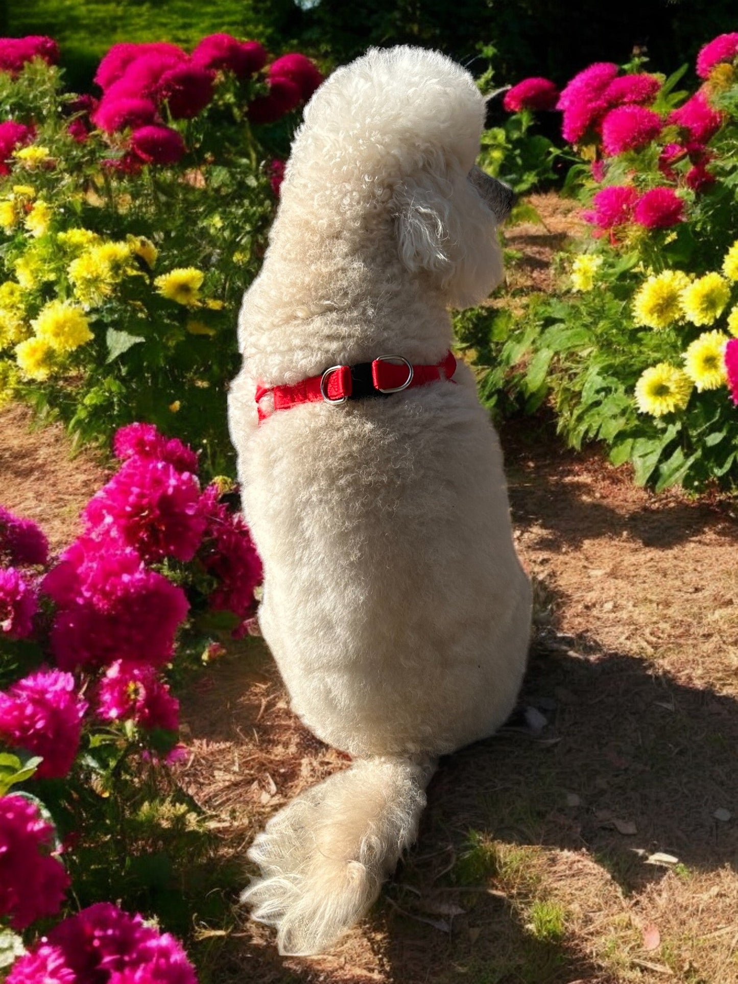 PETTORINA IN NYLON ECO