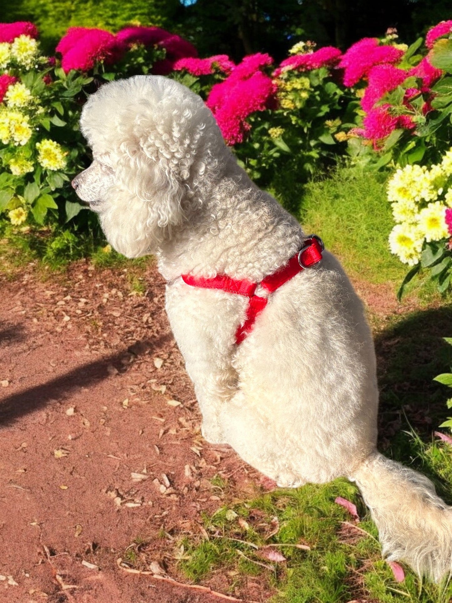 PETTORINA IN NYLON ECO