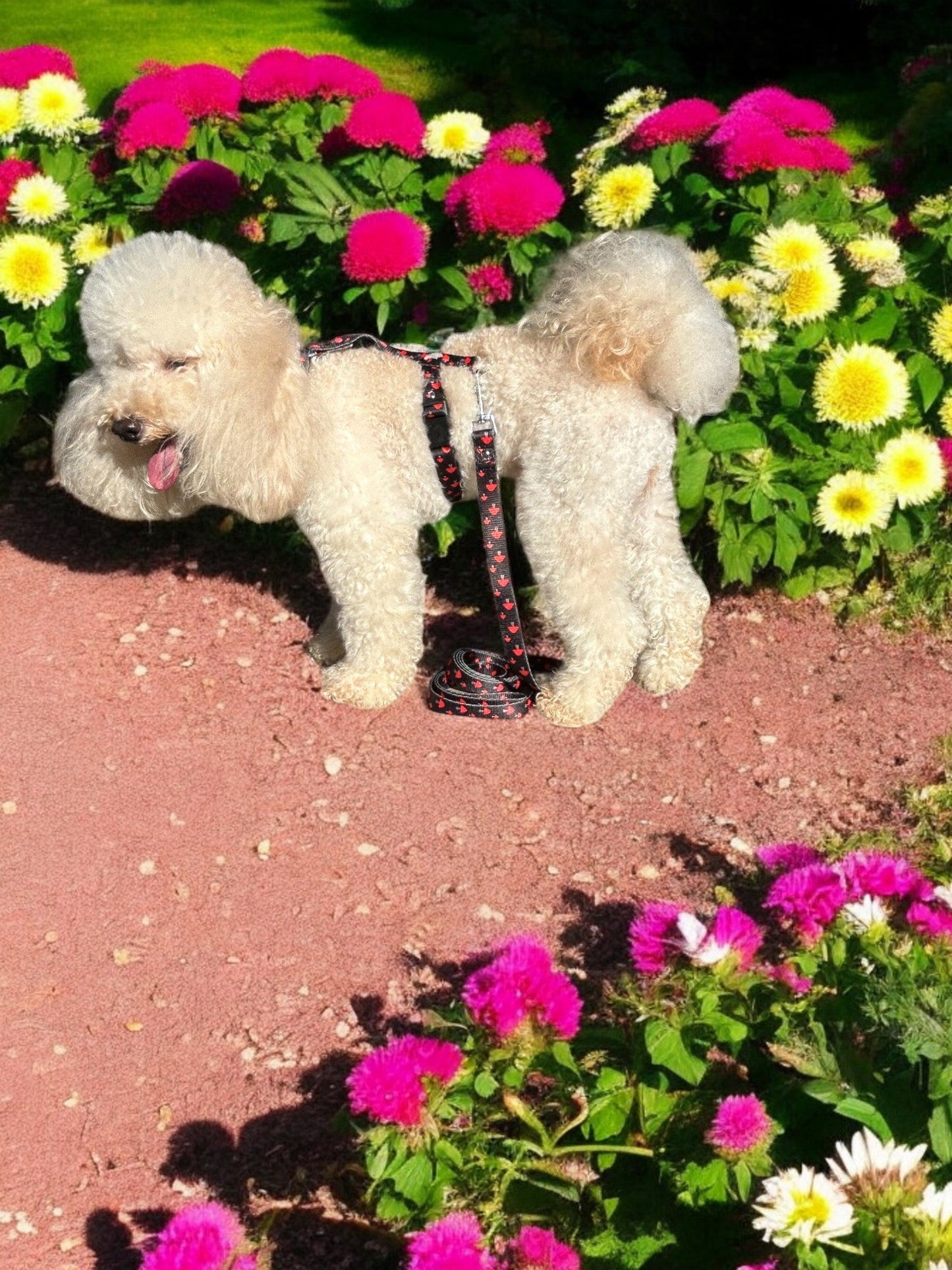 PETTORINA IN NYLON ESPERIA