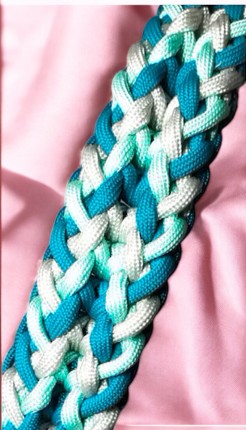 CAPEZZA PARACORD E BIOTHANE