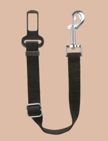 CINTURA DI SICUREZZA AUTO NYLON