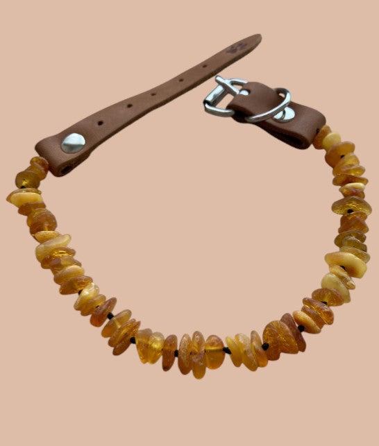 ANTIPARASSITARIO 100% NATURALE AMBRA