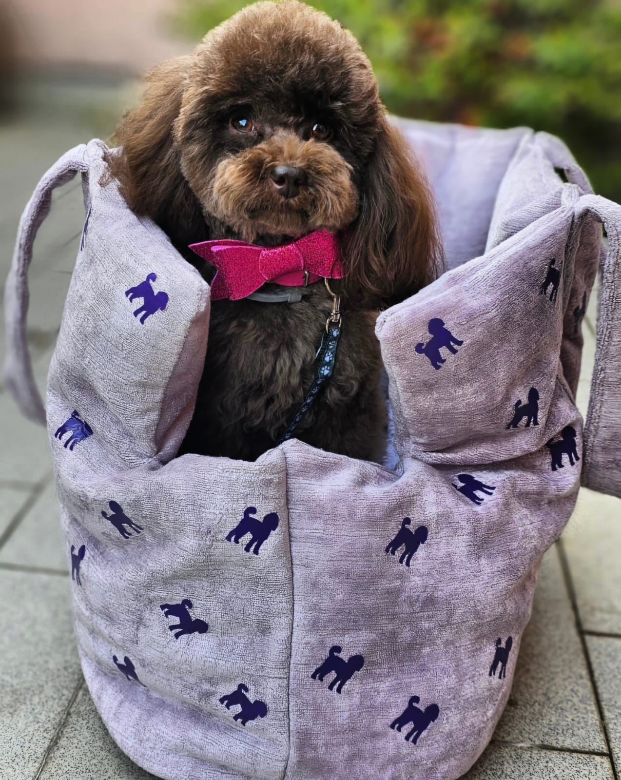 BORSA MEILI IN VELLUTO
