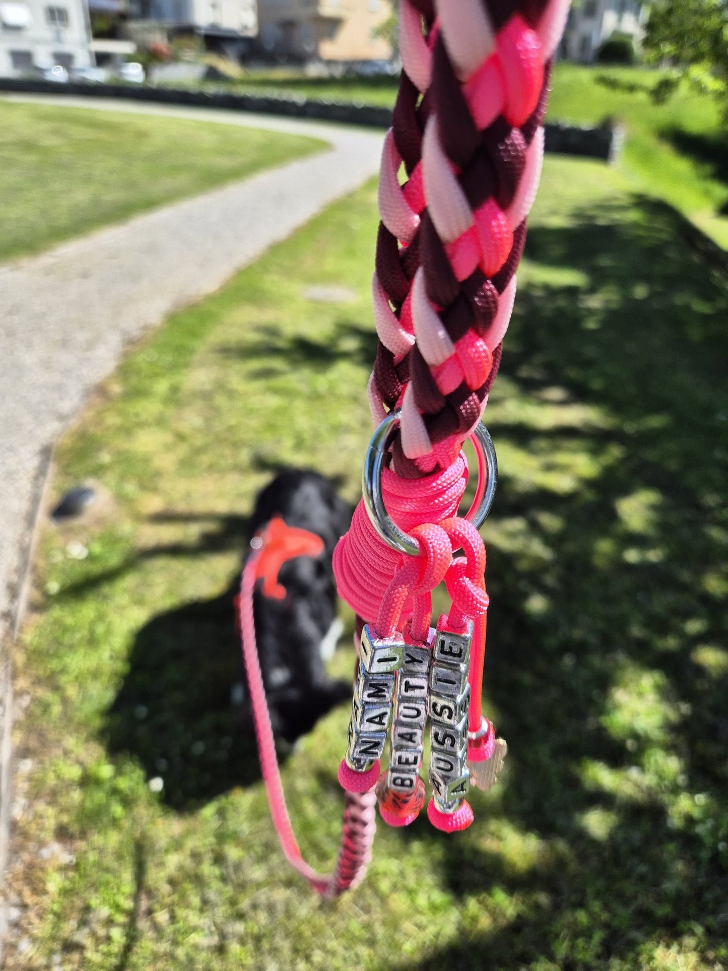 GUINZAGLIO PARACORD DELFINA