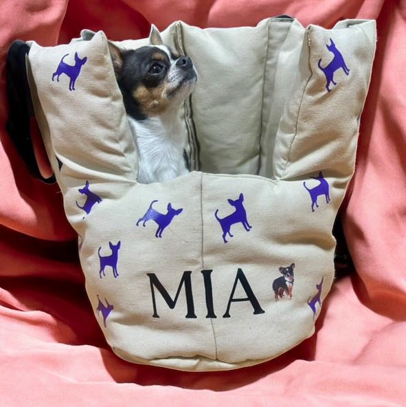 BORSA MEILI IN PANAMA