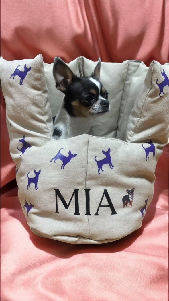 BORSA MEILI IN PANAMA