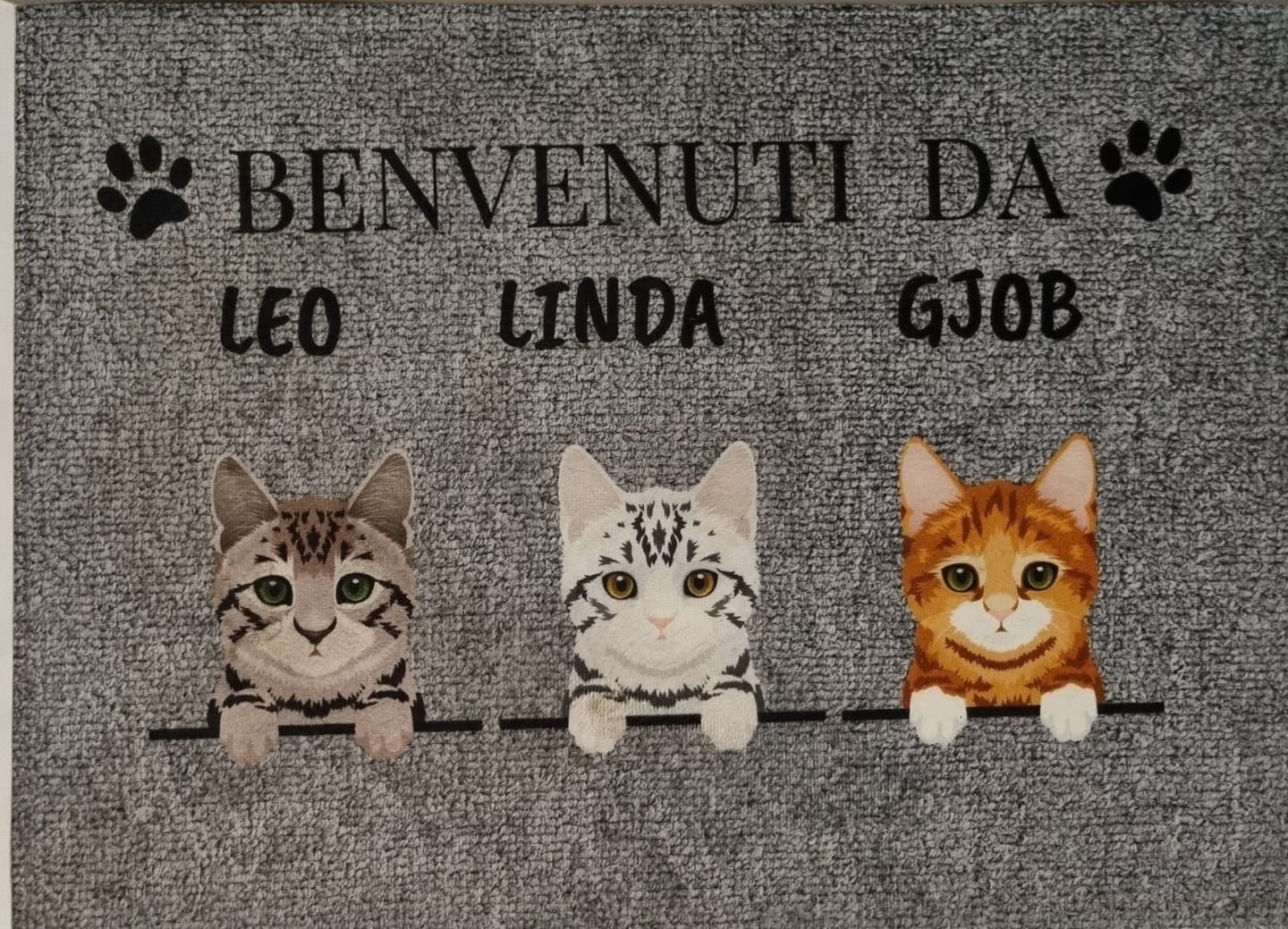 ZERBINO BENVENUTI A CASA FOTO STILIZZATA