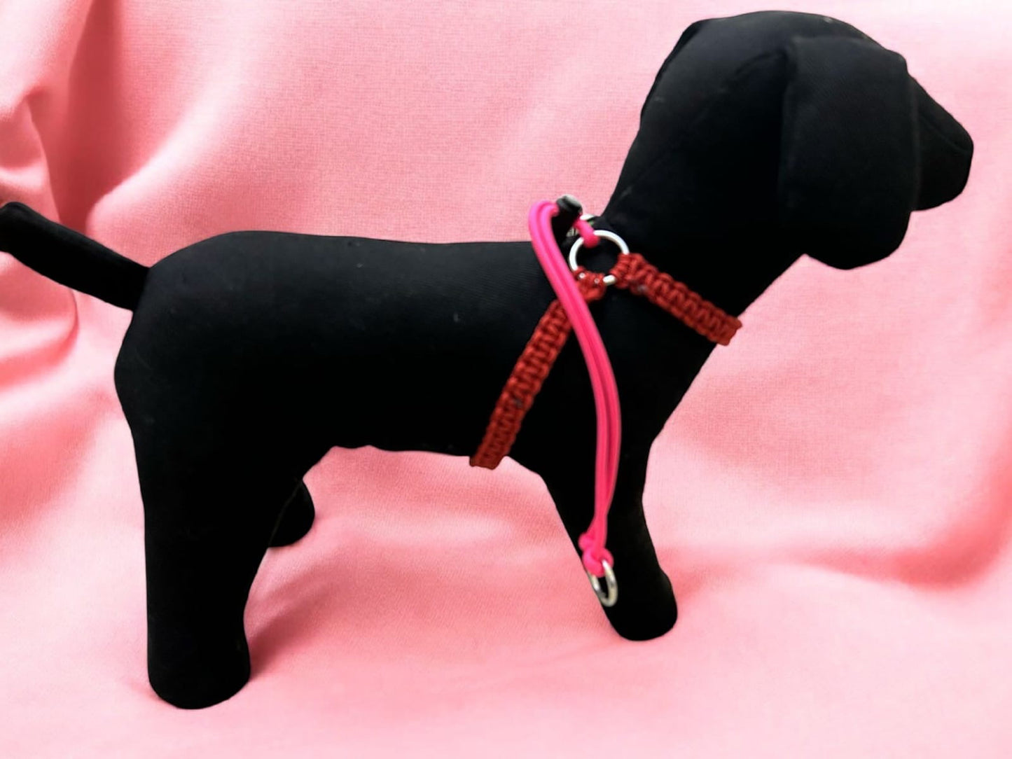 PETTORINA JUNIOR