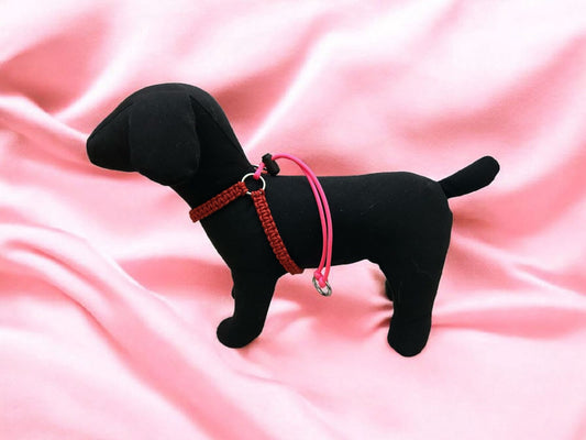 PETTORINA JUNIOR