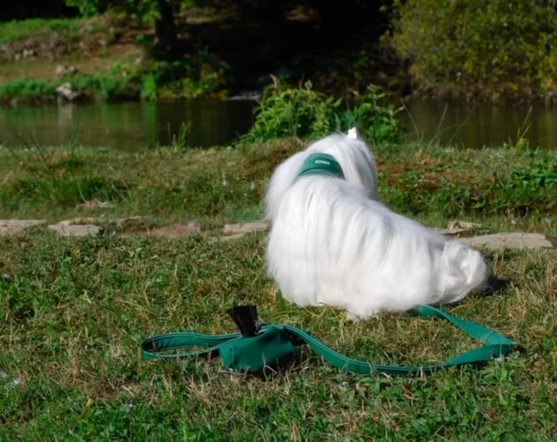 COLLARE PELLE SALVA PELO