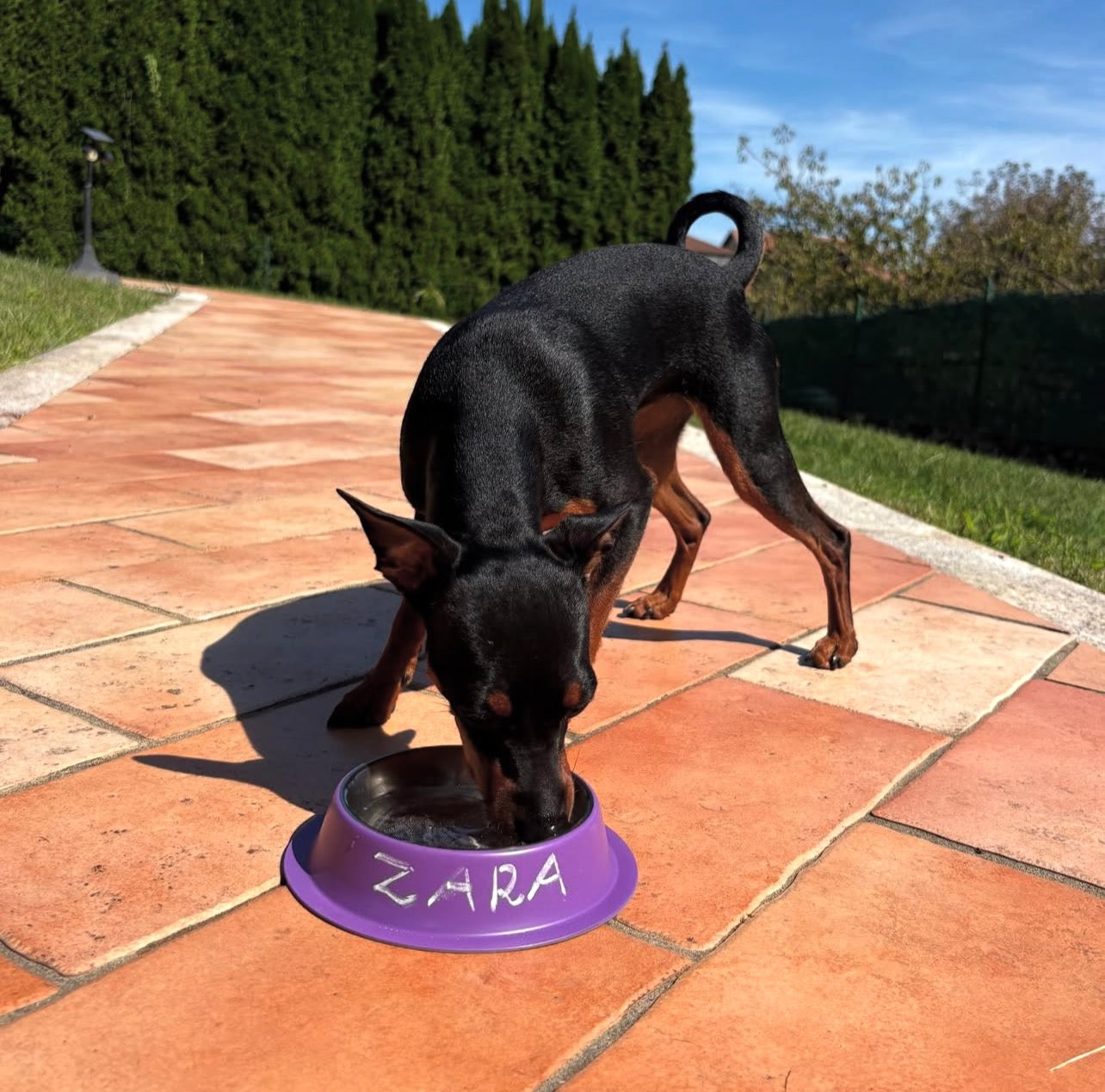 CIOTOLA ACCIAO CON GESSETTO