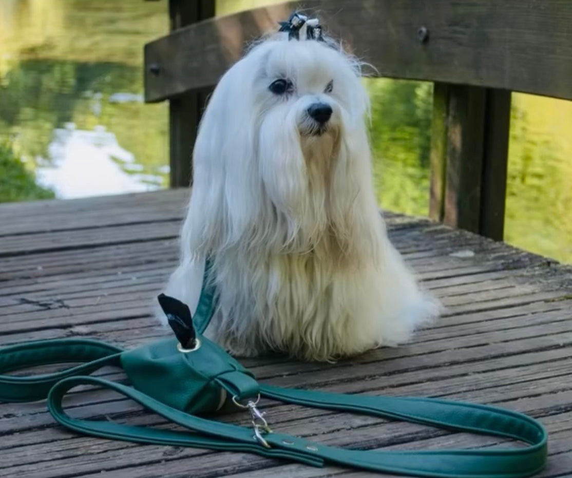 COLLARE PELLE SALVA PELO