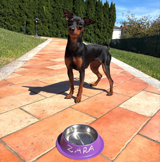 CIOTOLA ACCIAO CON GESSETTO