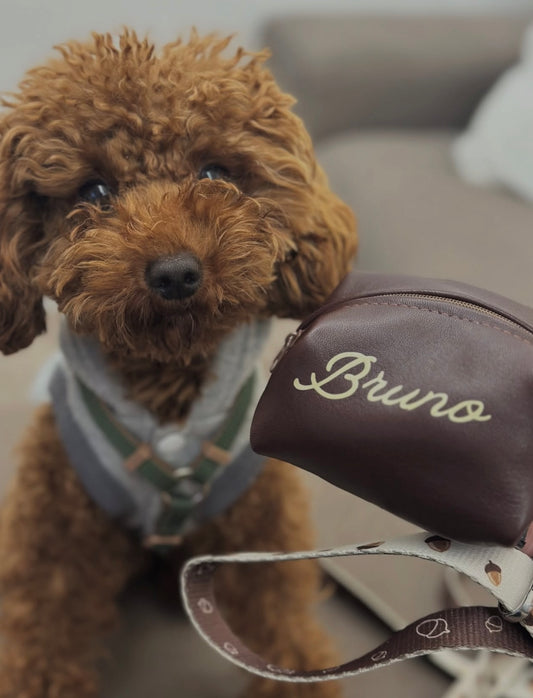 PORTASACCHETTI PELLE