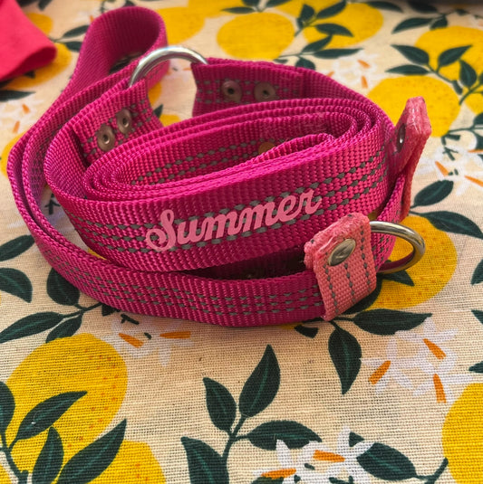 GUINZAGLIO RETRIEVER NYLON