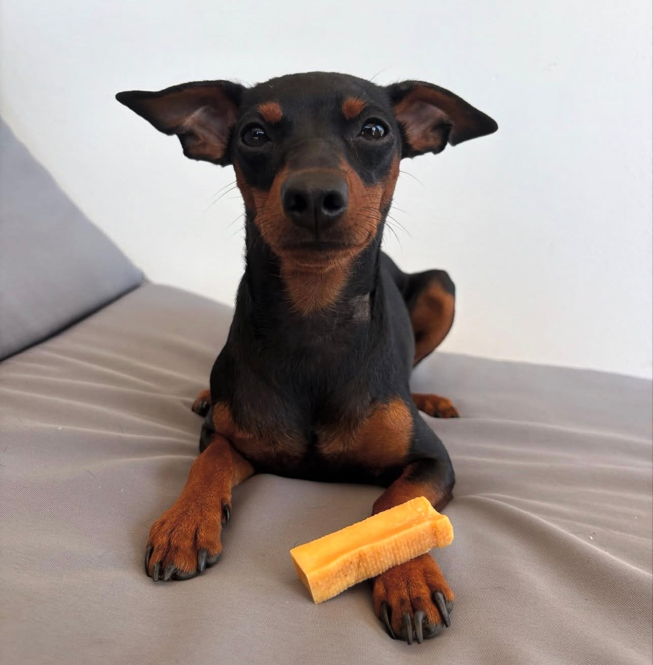 MASTICATICO AL LATTE DI YAK