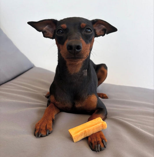 MASTICATICO AL LATTE DI YAK