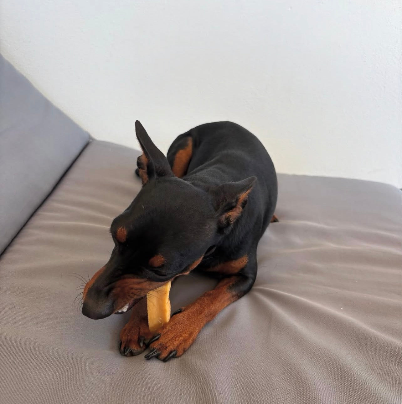 MASTICATICO AL LATTE DI YAK