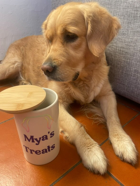 PORTA SNACK IN CERAMICA CON TAPPO IN LEGNO