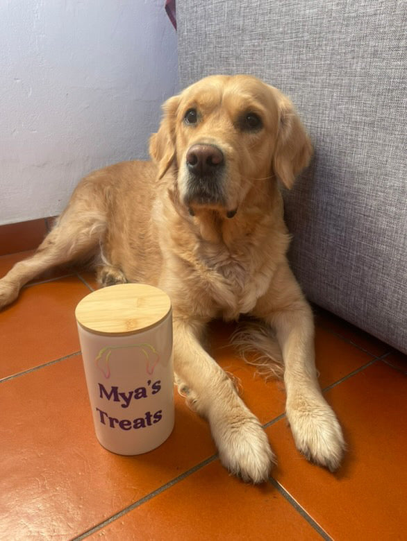 PORTA SNACK IN CERAMICA CON TAPPO IN LEGNO