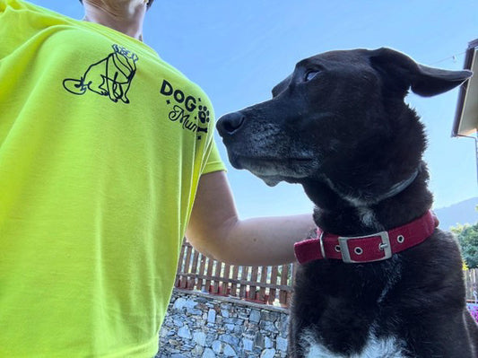 MAGLIA DOG MUM