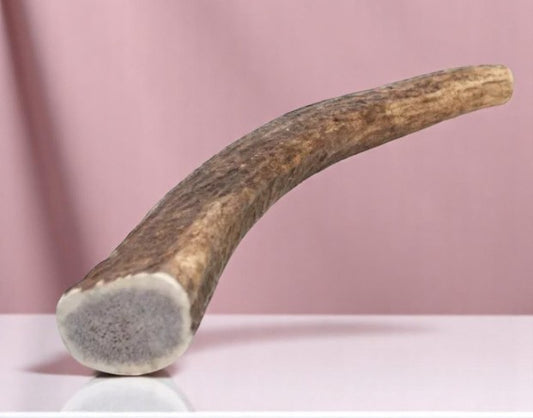 MASTICATIVO CORNO DI CERVO