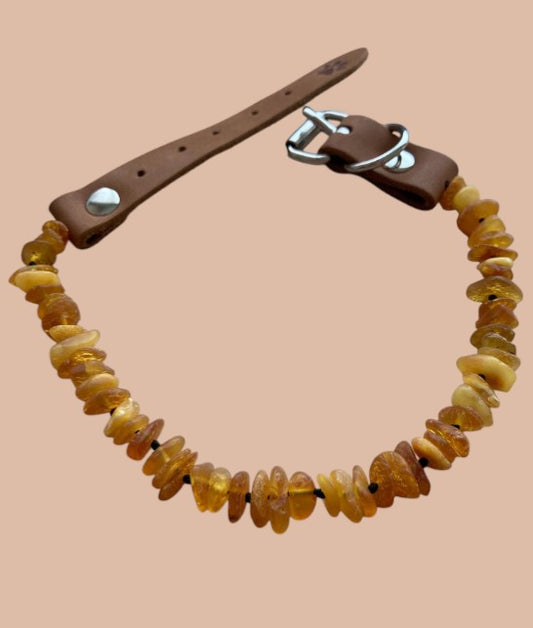 ANTIPARASSITARIO 100% NATURALE AMBRA