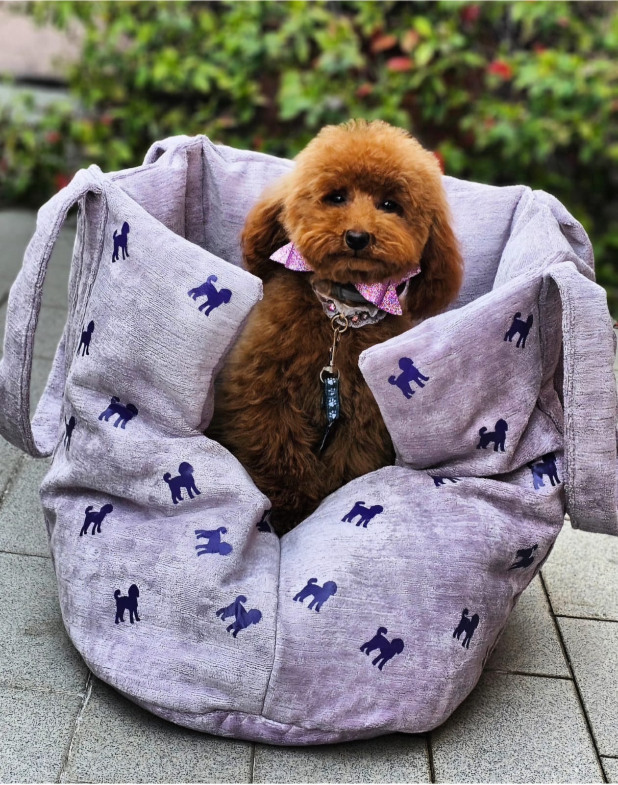 BORSA MEILI IN VELLUTO