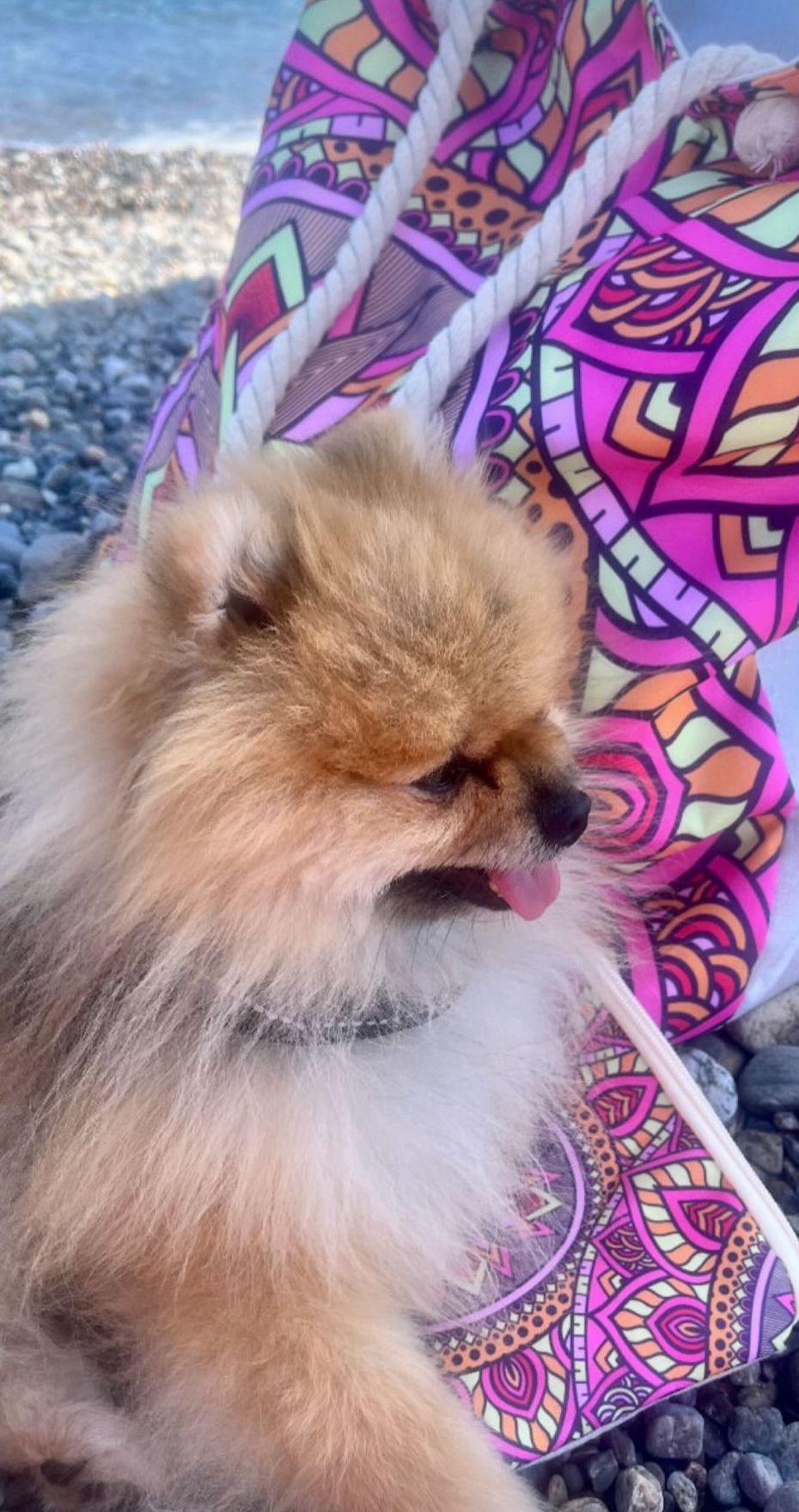 BORSA CON POCHETTE AJMAN