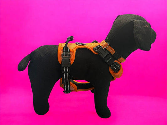 PETTORINA NYLON AJMAN