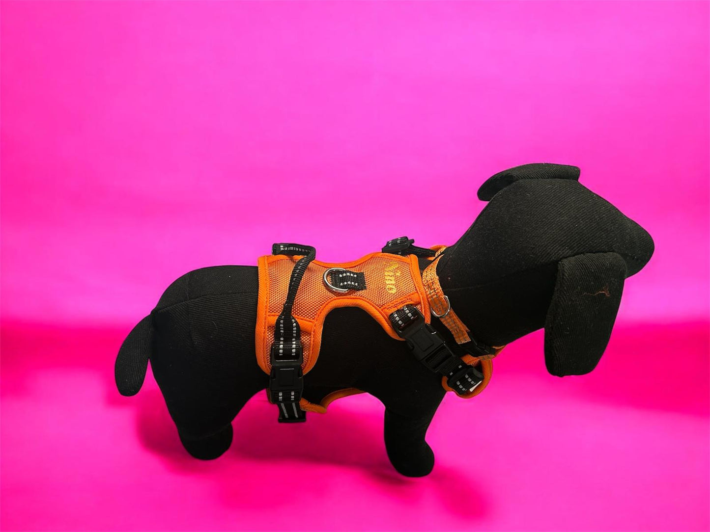 PETTORINA NYLON AJMAN