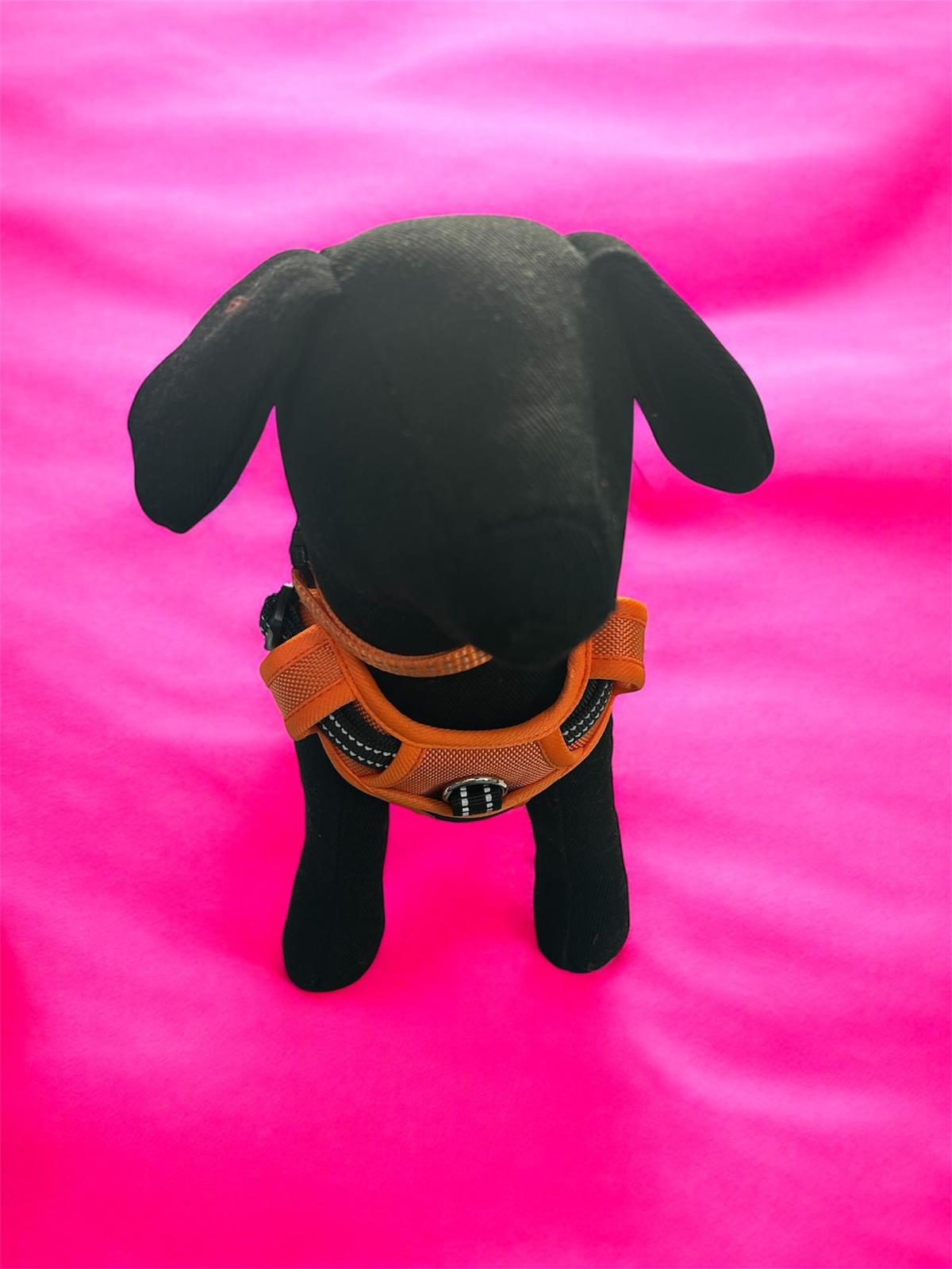 PETTORINA NYLON AJMAN