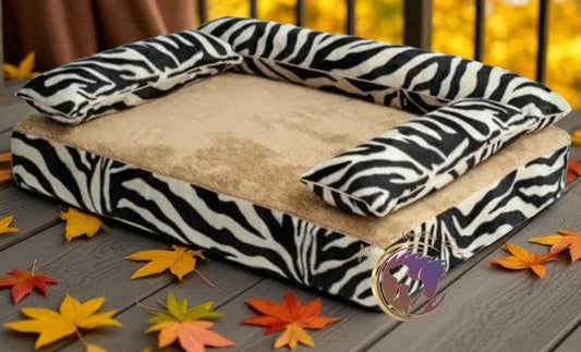 CUCCIA MAPLE