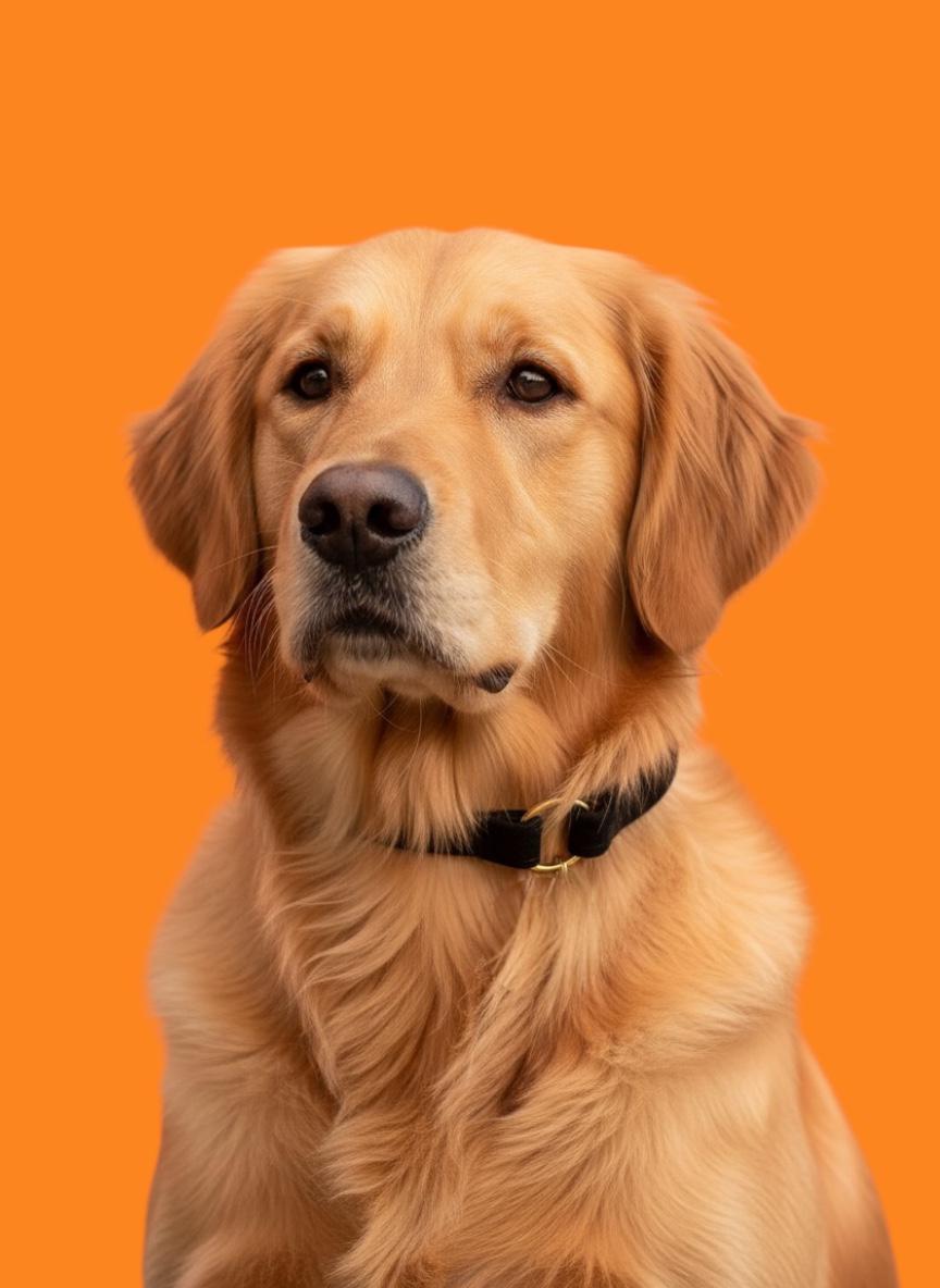 PORTA MEDAGLIETTA PELLE