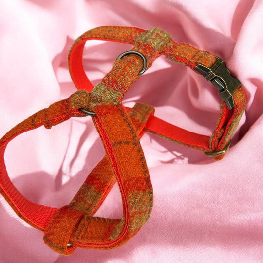 PETTORINA IN NYLON AURA