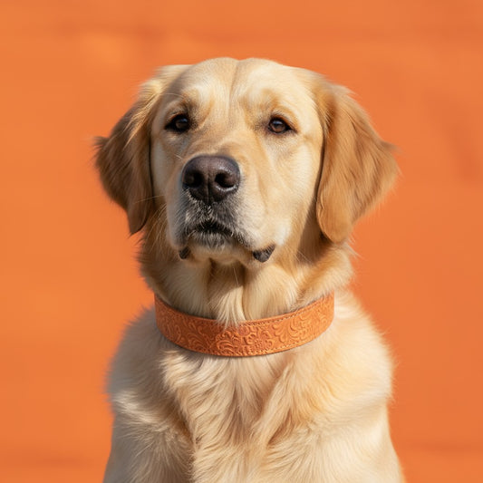 COLLARE CUOIO DIAMANTE